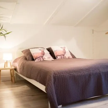 公寓 Agapella Apartamenty- Apartament Centrum Fitzcarraldo 索波特